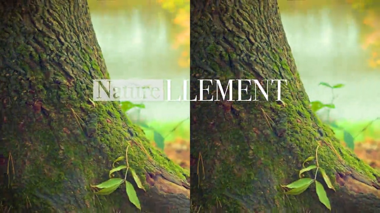 Naturellement - 22/04/2024