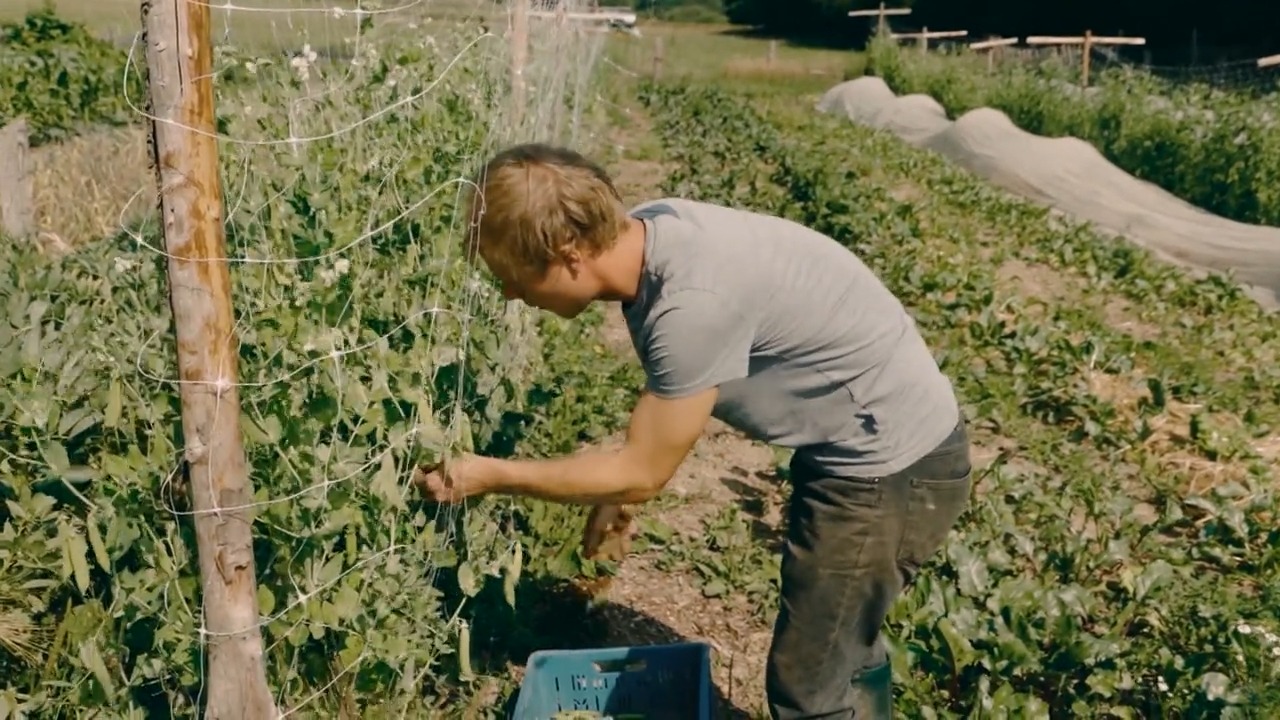 Les jeunes pousses - Documentaire