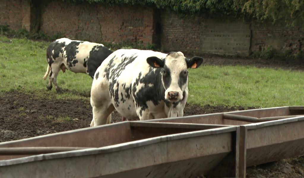 La technologie au service des agriculteurs wallons