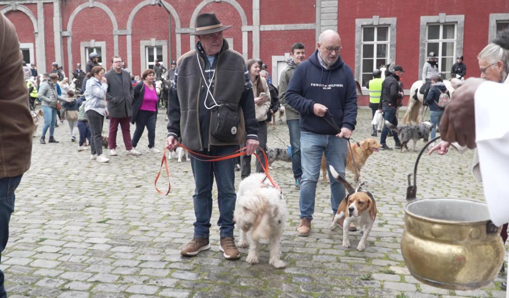 La Saint-Hubert a ravi maîtres, cavaliers et spectateurs à Gembloux