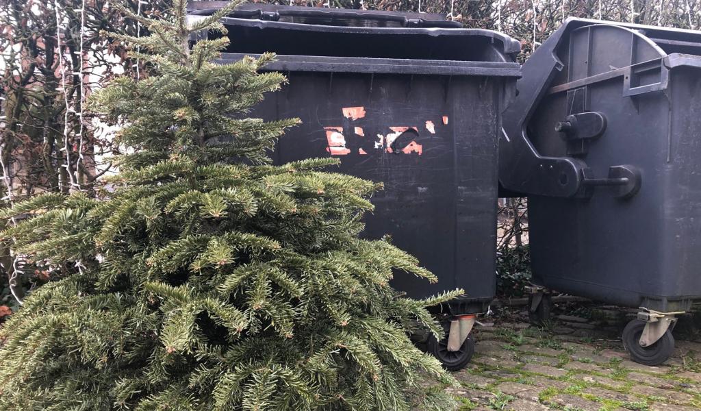 Collectes : préparez votre vieux sapin pour lundi prochain