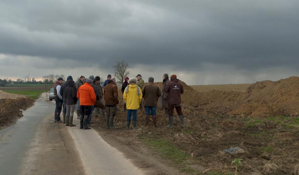 Le retour des bruants à la plaine de Perwez