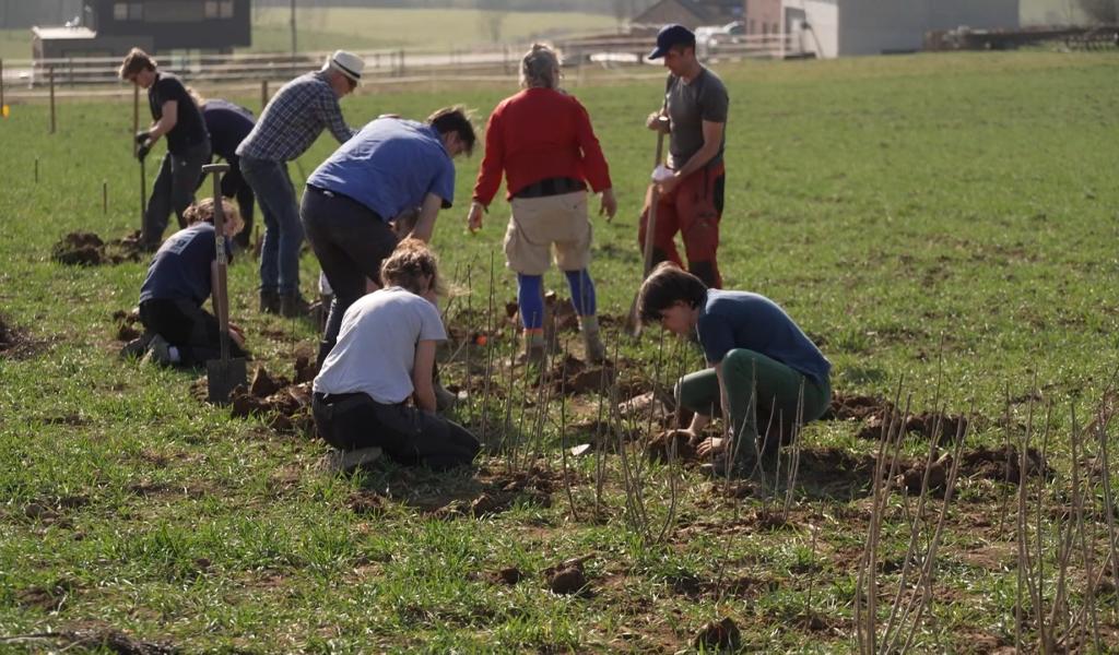 Ekikrok : Un chantier participatif au service de la biodiversité