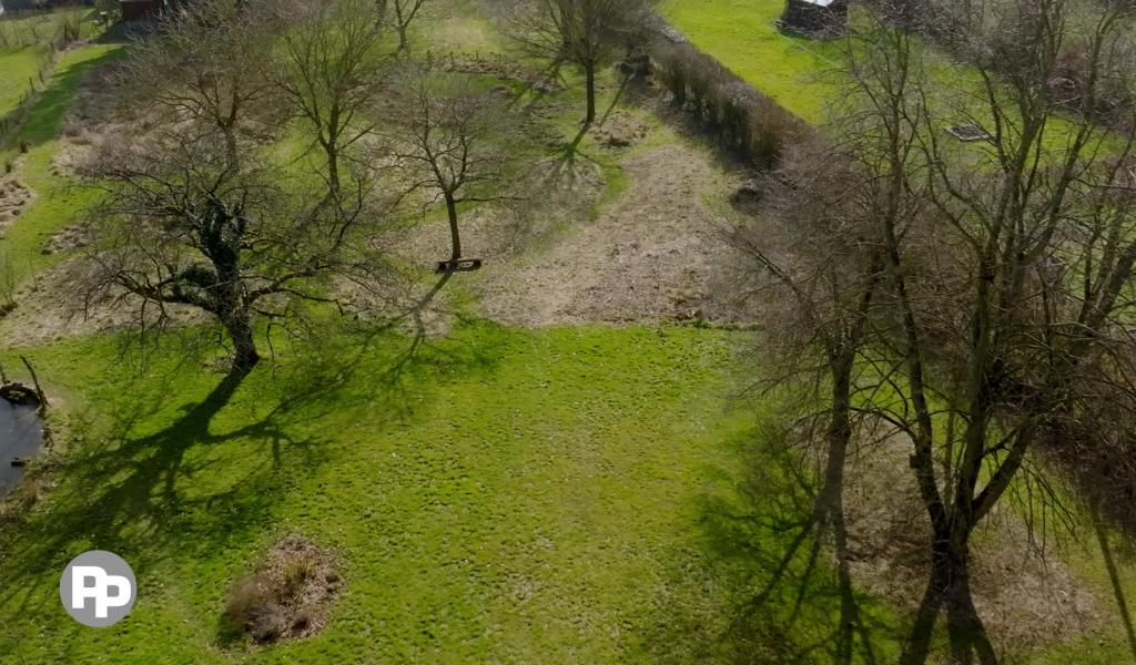 Entrez, c'est tout vert - Le bois de Wallonie