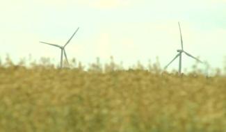 Projet éolien de Chastre : victoire écrasante du "non" citoyen