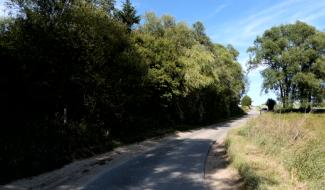 À côté de la plaque : le chemin du Bayon Bry à Noirmont