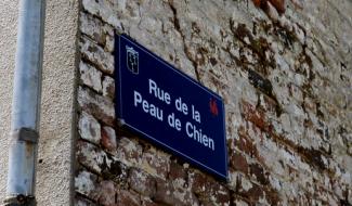 "À côté de la plaque" : la rue de la Peau de Chien à Sauvenière