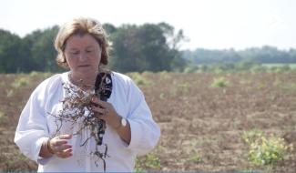 Contrechamps - Dans le jardin de Marianne Streel