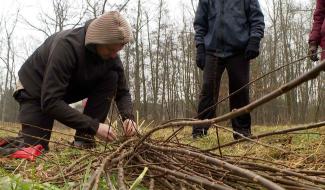 Chastre : première récolte d'osier au Domaine des Possibles