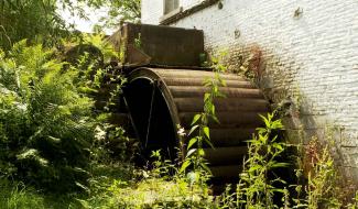 Série d'été : le moulin à eau de Gentinnes