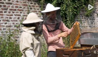 Fruit de ma passion : l'apiculture, avec Victor