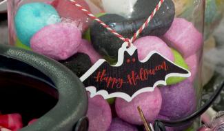 Les bonbons s'arrachent pour Halloween : exemple à Gembloux