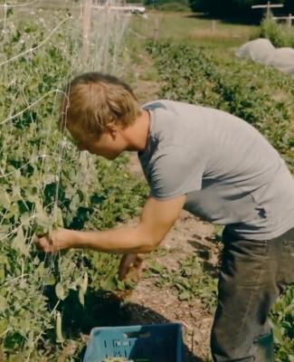 Les jeunes pousses - Documentaire