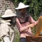 Fruit de ma passion : l'apiculture, avec Victor