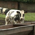 La technologie au service des agriculteurs wallons