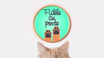 Fidèle au poste - 18/04/2024